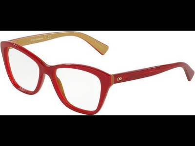 Dolce & Gabbana DG3249 2968