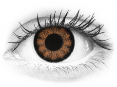 Sexy Brown Contact Lenses - Power - ColourVue BigEyes (2 coloured lenses)