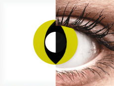 CRAZY LENS - Cat Eye Yellow - plano (2 daily coloured lenses)