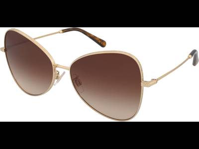 Dolce & Gabbana DG2274 02/13